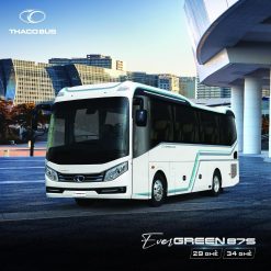 Xe Bus (Xe Ghế + Xe Giường + City Bus)